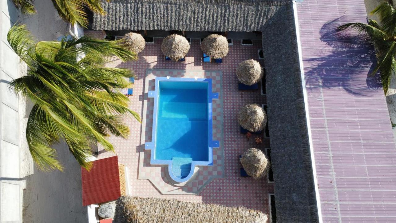 Amani Hotel Paje Ngoại thất bức ảnh